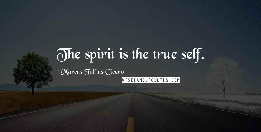 Marcus Tullius Cicero Quotes: The spirit is the true self.