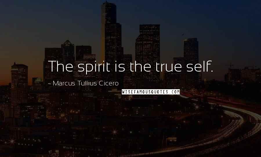 Marcus Tullius Cicero Quotes: The spirit is the true self.