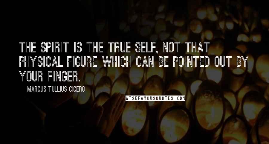 Marcus Tullius Cicero Quotes: The spirit is the true self, not that physical figure which can be pointed out by your finger.