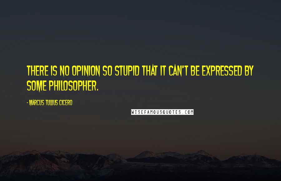 Marcus Tullius Cicero Quotes: There is no opinion so stupid that it can't be expressed by some philosopher.