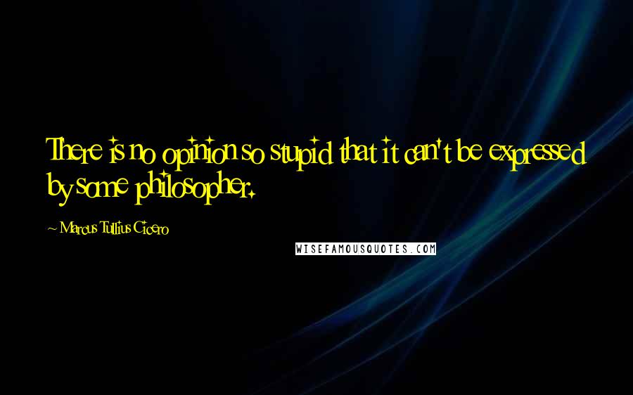 Marcus Tullius Cicero Quotes: There is no opinion so stupid that it can't be expressed by some philosopher.