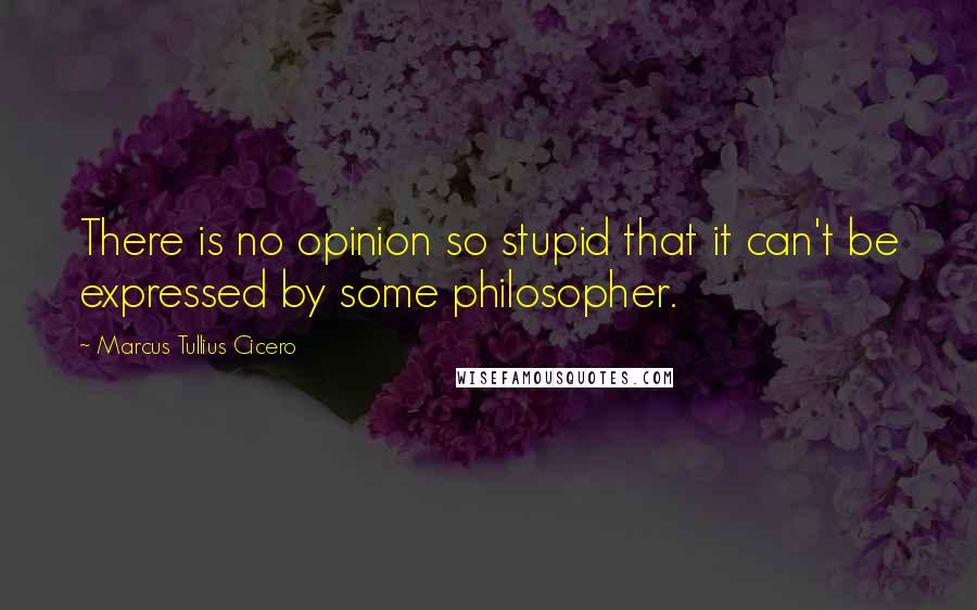 Marcus Tullius Cicero Quotes: There is no opinion so stupid that it can't be expressed by some philosopher.