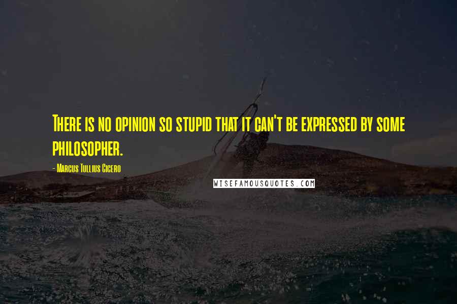 Marcus Tullius Cicero Quotes: There is no opinion so stupid that it can't be expressed by some philosopher.