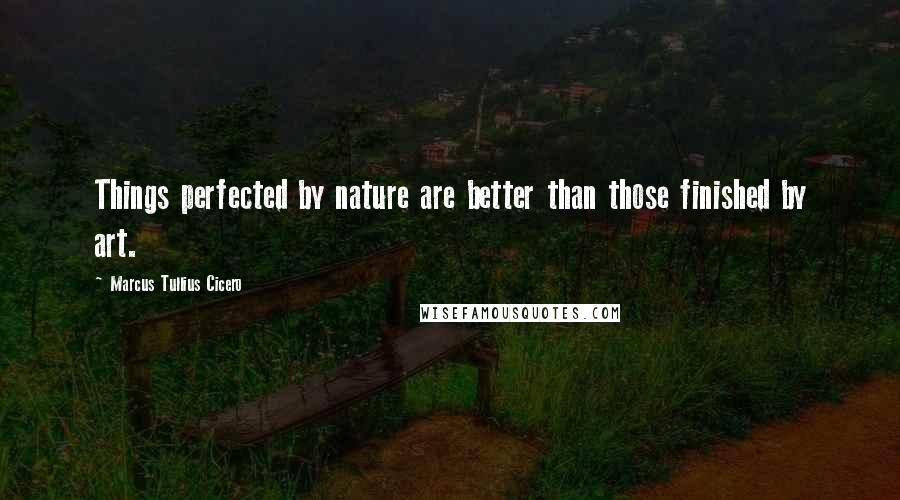 Marcus Tullius Cicero Quotes: Things perfected by nature are better than those finished by art.