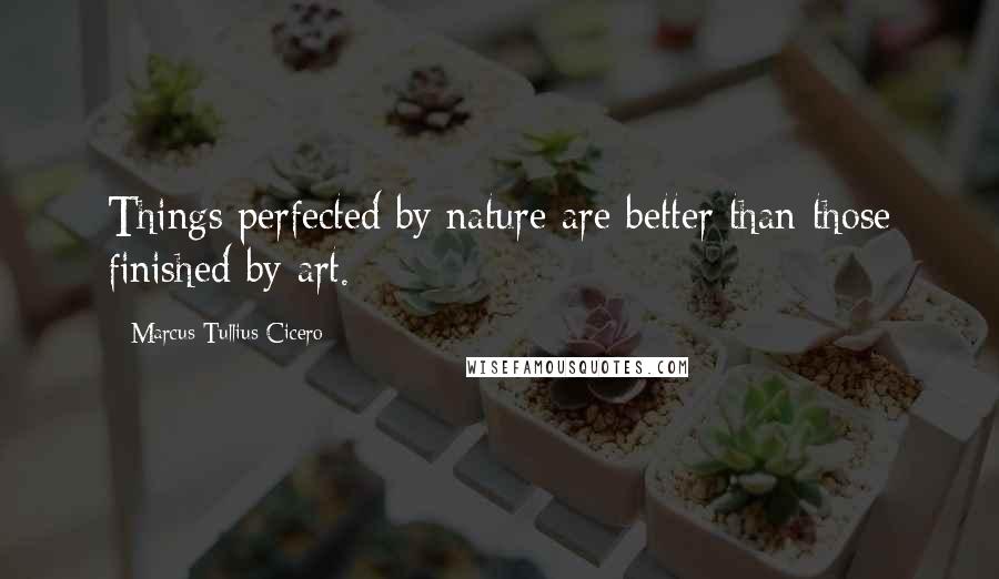 Marcus Tullius Cicero Quotes: Things perfected by nature are better than those finished by art.