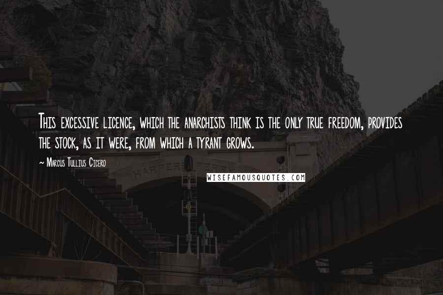 Marcus Tullius Cicero Quotes: This excessive licence, which the anarchists think is the only true freedom, provides the stock, as it were, from which a tyrant grows.