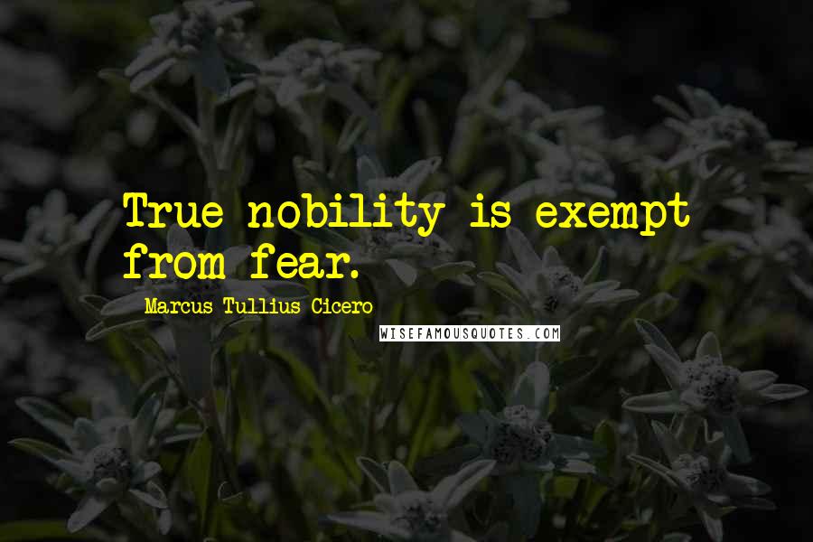 Marcus Tullius Cicero Quotes: True nobility is exempt from fear.