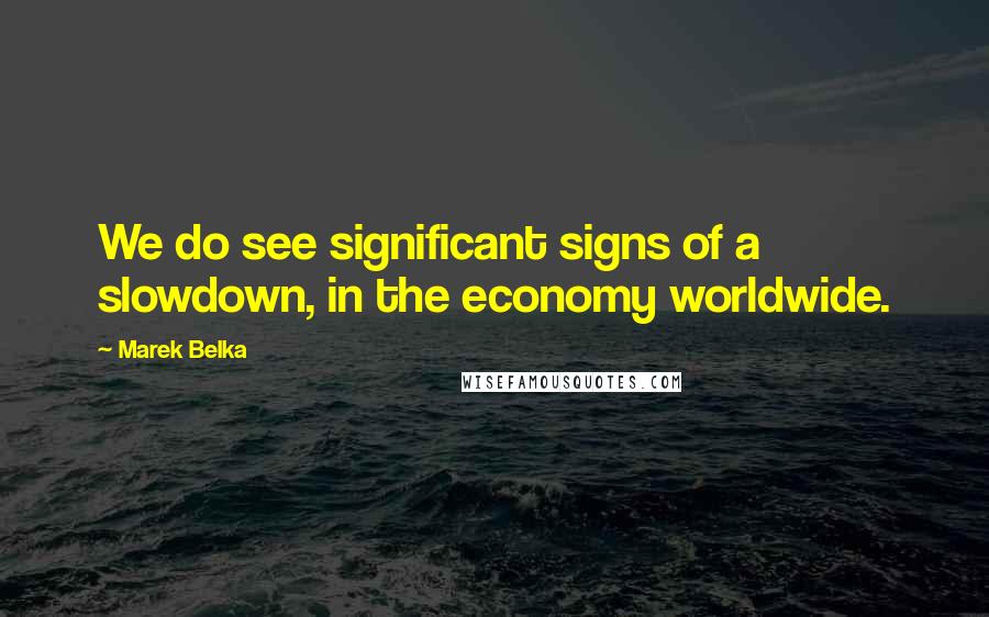 Marek Belka Quotes: We do see significant signs of a slowdown, in the economy worldwide.