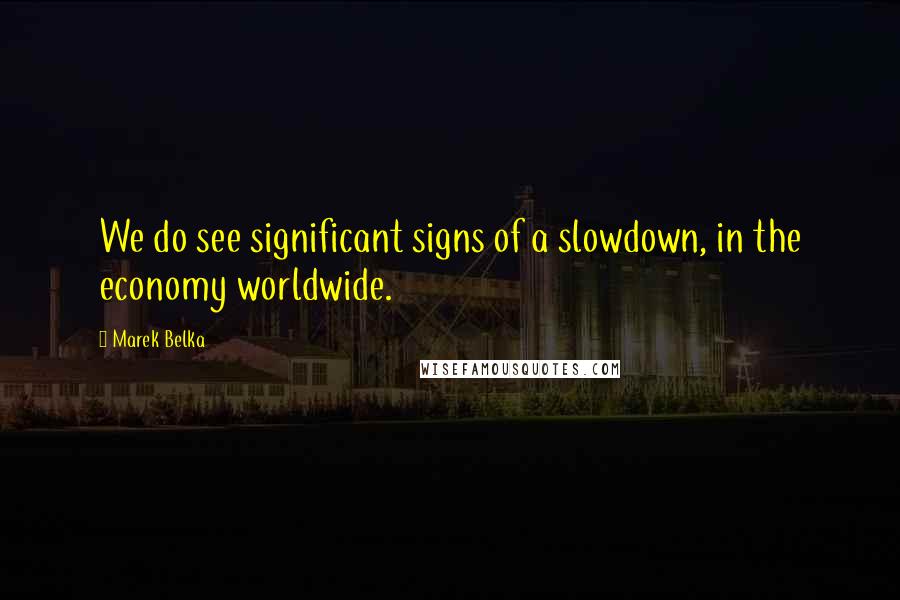 Marek Belka Quotes: We do see significant signs of a slowdown, in the economy worldwide.