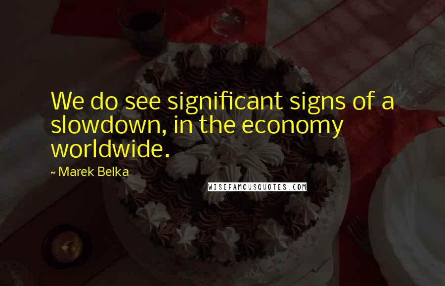 Marek Belka Quotes: We do see significant signs of a slowdown, in the economy worldwide.