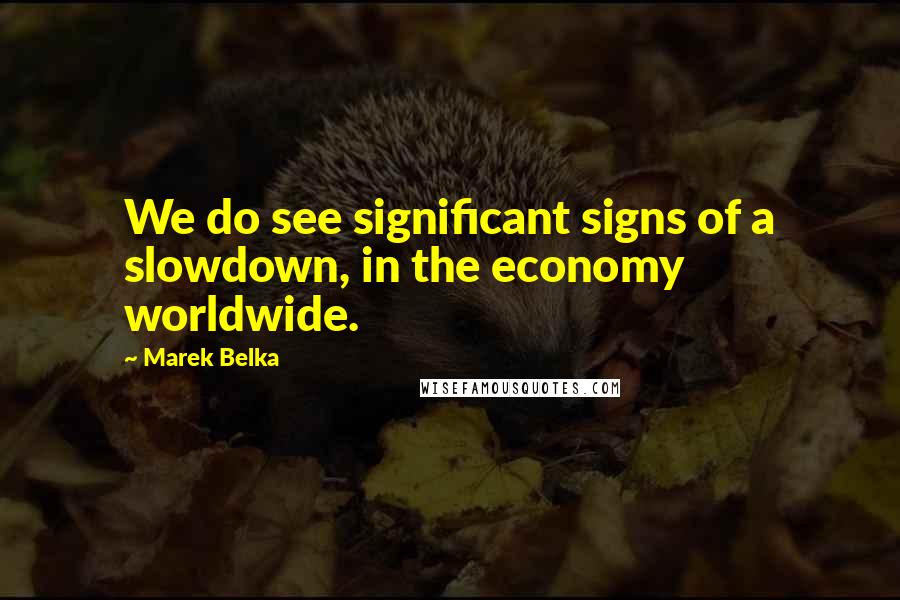 Marek Belka Quotes: We do see significant signs of a slowdown, in the economy worldwide.