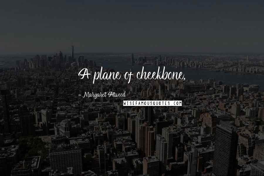 Margaret Atwood Quotes: A plane of cheekbone,