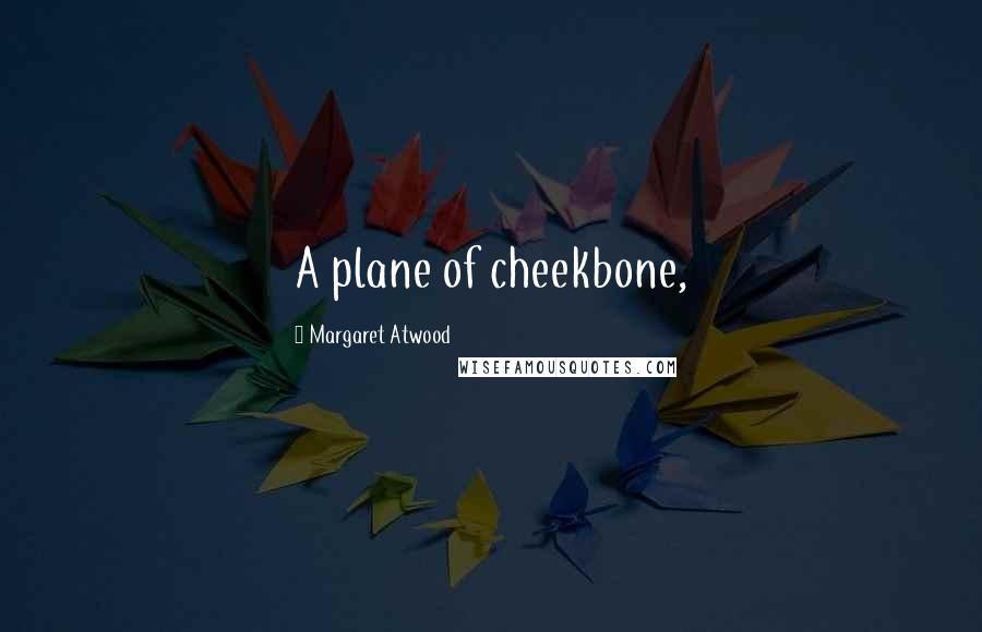Margaret Atwood Quotes: A plane of cheekbone,