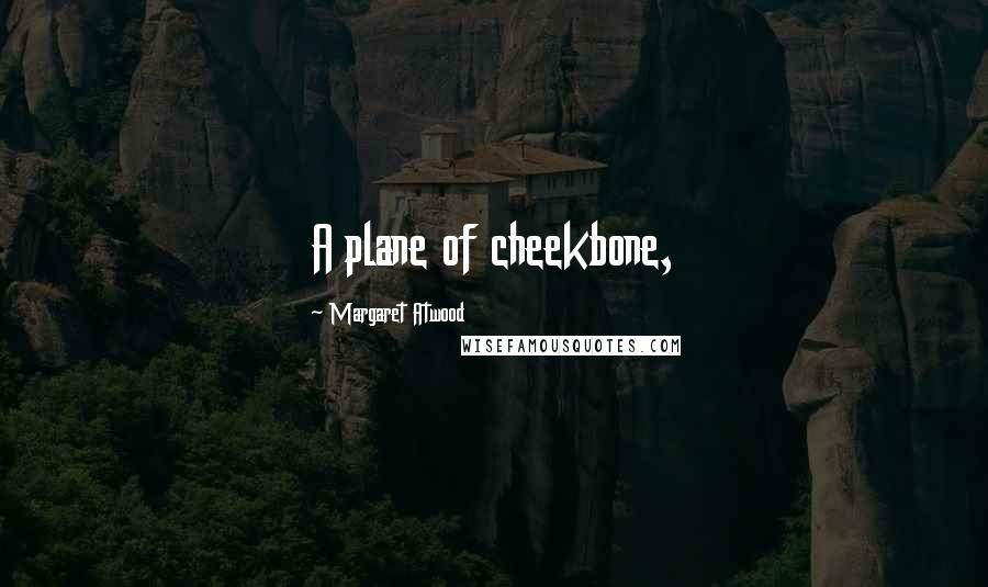 Margaret Atwood Quotes: A plane of cheekbone,