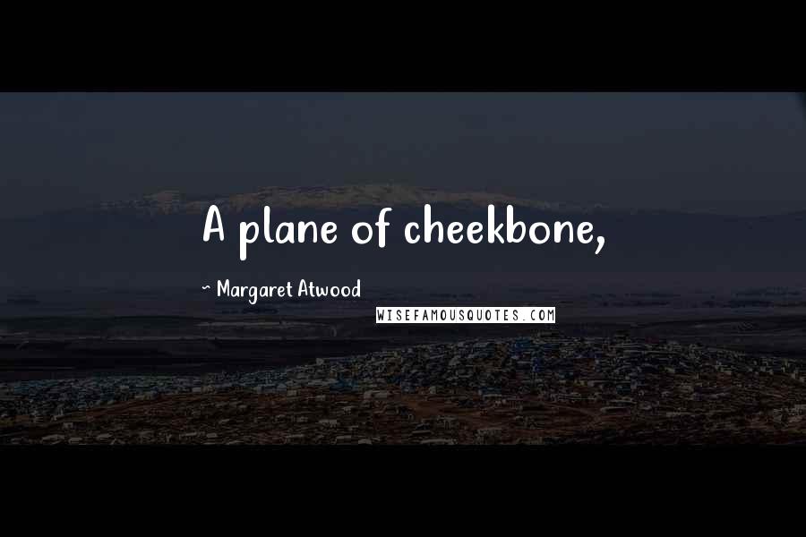 Margaret Atwood Quotes: A plane of cheekbone,