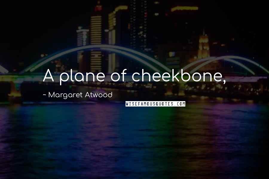 Margaret Atwood Quotes: A plane of cheekbone,