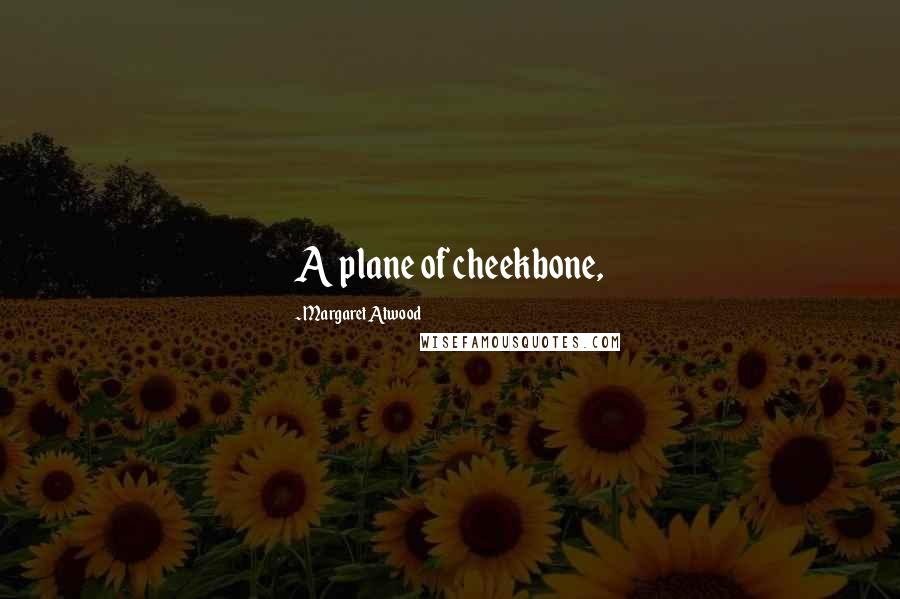Margaret Atwood Quotes: A plane of cheekbone,