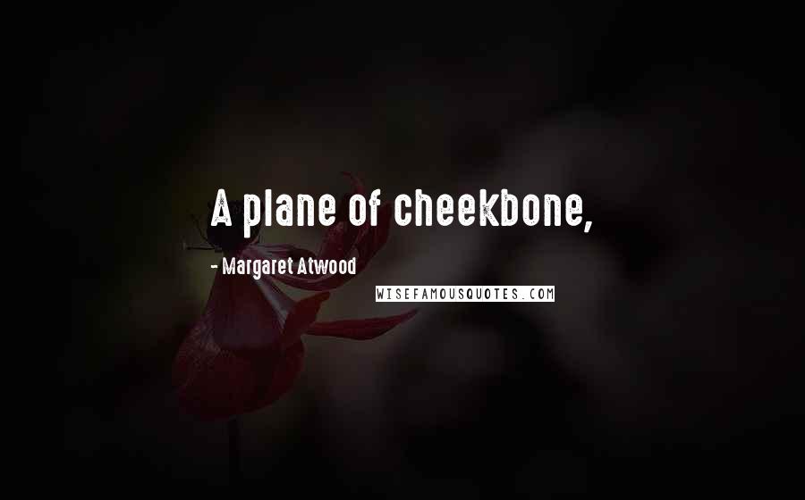 Margaret Atwood Quotes: A plane of cheekbone,