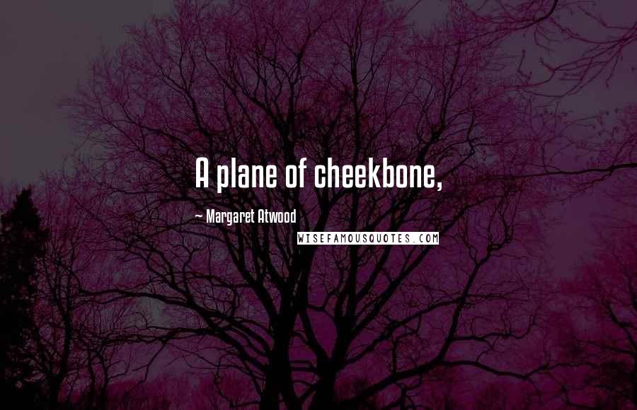 Margaret Atwood Quotes: A plane of cheekbone,