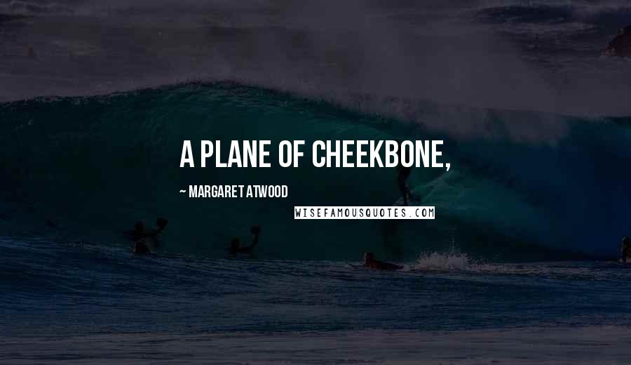 Margaret Atwood Quotes: A plane of cheekbone,