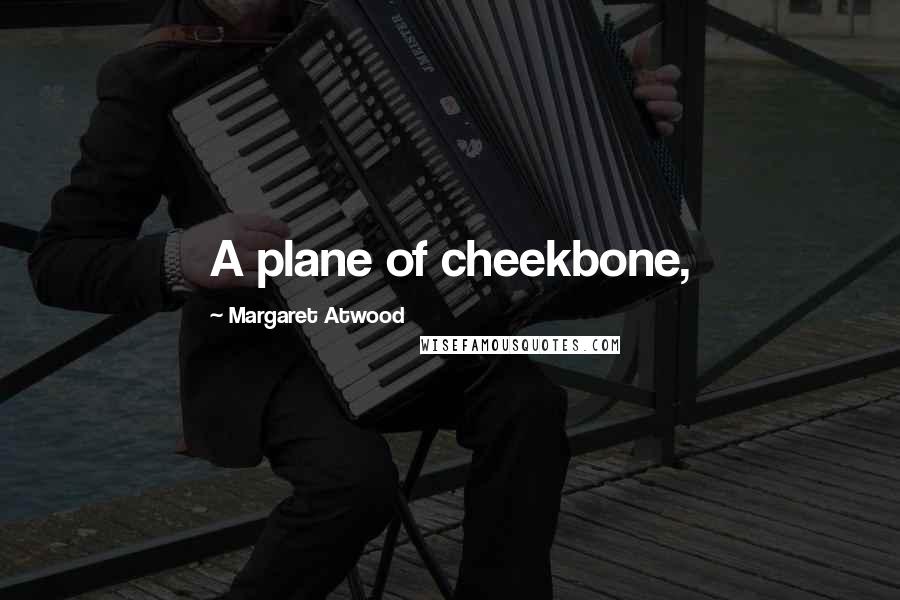 Margaret Atwood Quotes: A plane of cheekbone,
