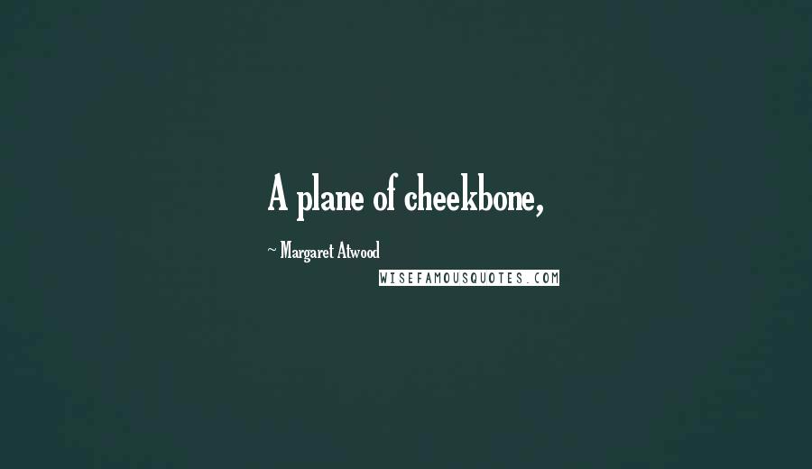 Margaret Atwood Quotes: A plane of cheekbone,