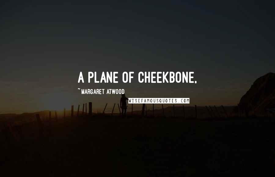 Margaret Atwood Quotes: A plane of cheekbone,