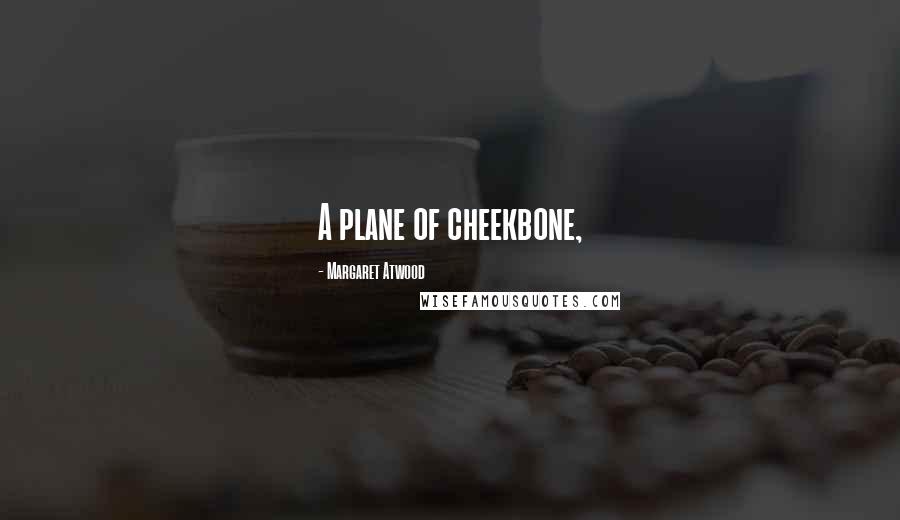 Margaret Atwood Quotes: A plane of cheekbone,