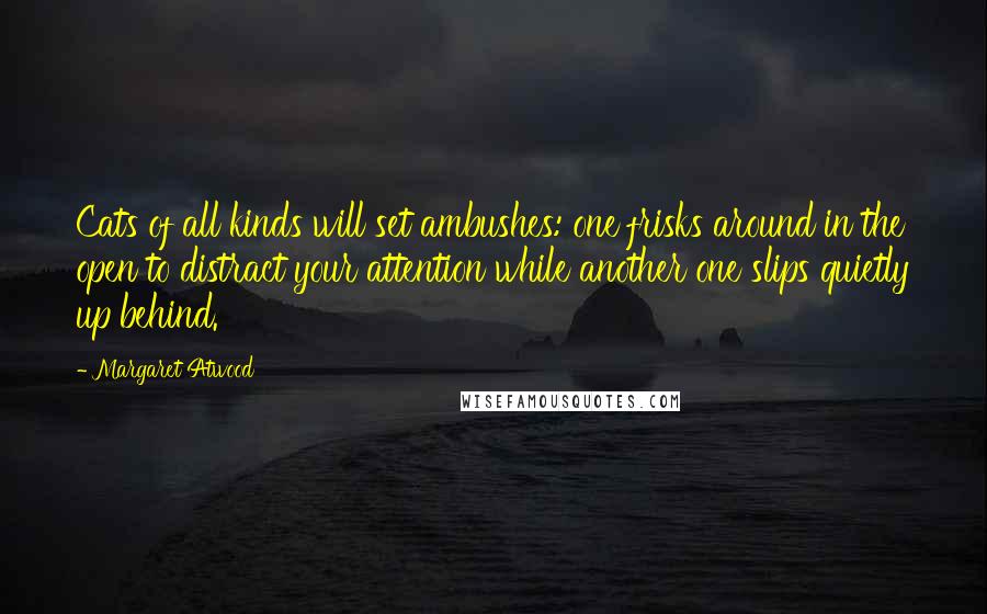 Margaret Atwood Quotes: Cats of all kinds will set ambushes: one frisks around in the open to distract your attention while another one slips quietly up behind.