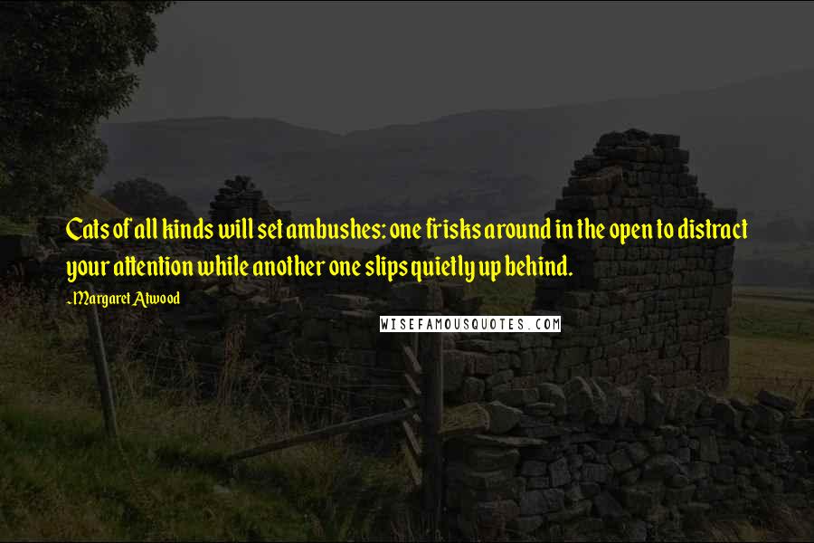 Margaret Atwood Quotes: Cats of all kinds will set ambushes: one frisks around in the open to distract your attention while another one slips quietly up behind.