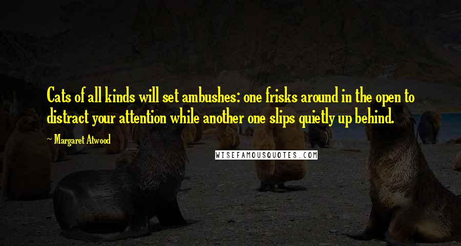 Margaret Atwood Quotes: Cats of all kinds will set ambushes: one frisks around in the open to distract your attention while another one slips quietly up behind.