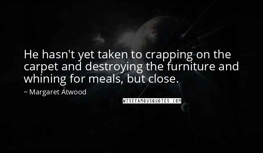 Margaret Atwood Quotes: He hasn't yet taken to crapping on the carpet and destroying the furniture and whining for meals, but close.