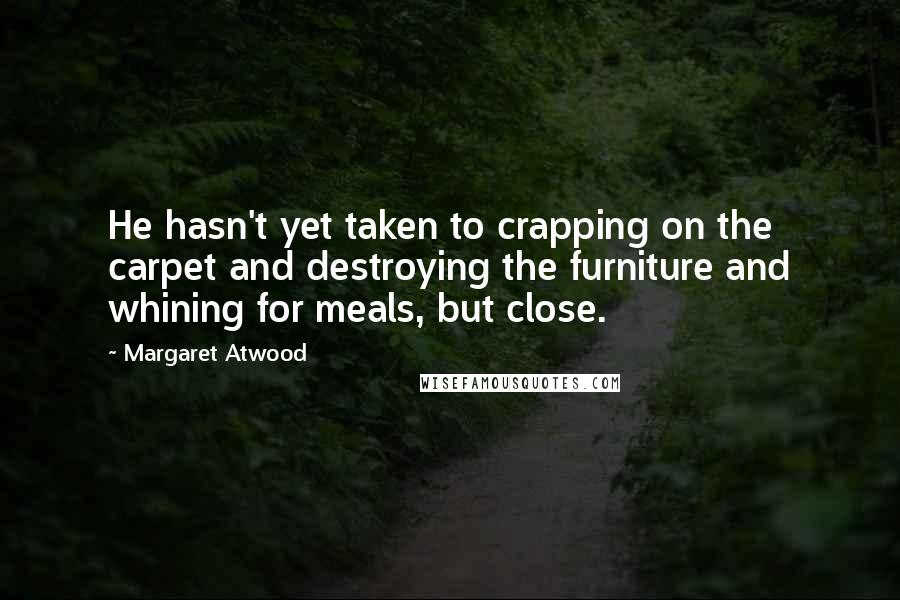 Margaret Atwood Quotes: He hasn't yet taken to crapping on the carpet and destroying the furniture and whining for meals, but close.