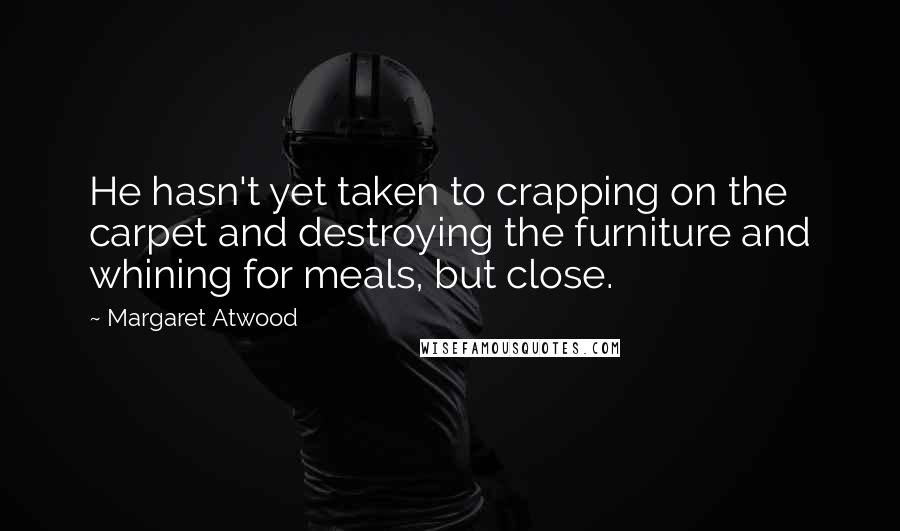 Margaret Atwood Quotes: He hasn't yet taken to crapping on the carpet and destroying the furniture and whining for meals, but close.