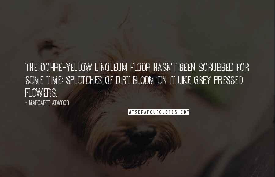 Margaret Atwood Quotes: The ochre-yellow linoleum floor hasn't been scrubbed for some time; splotches of dirt bloom on it like grey pressed flowers.