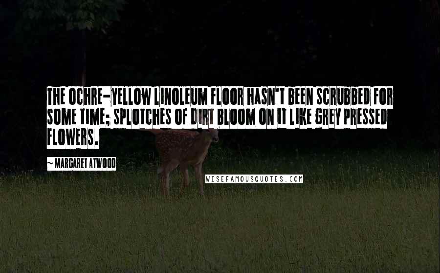 Margaret Atwood Quotes: The ochre-yellow linoleum floor hasn't been scrubbed for some time; splotches of dirt bloom on it like grey pressed flowers.