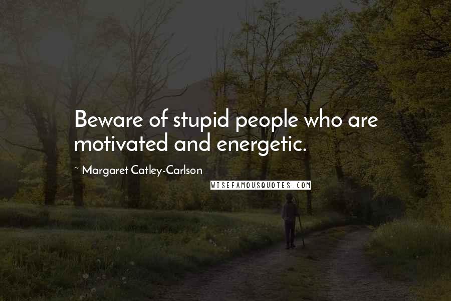 Margaret Catley-Carlson Quotes: Beware of stupid people who are motivated and energetic.