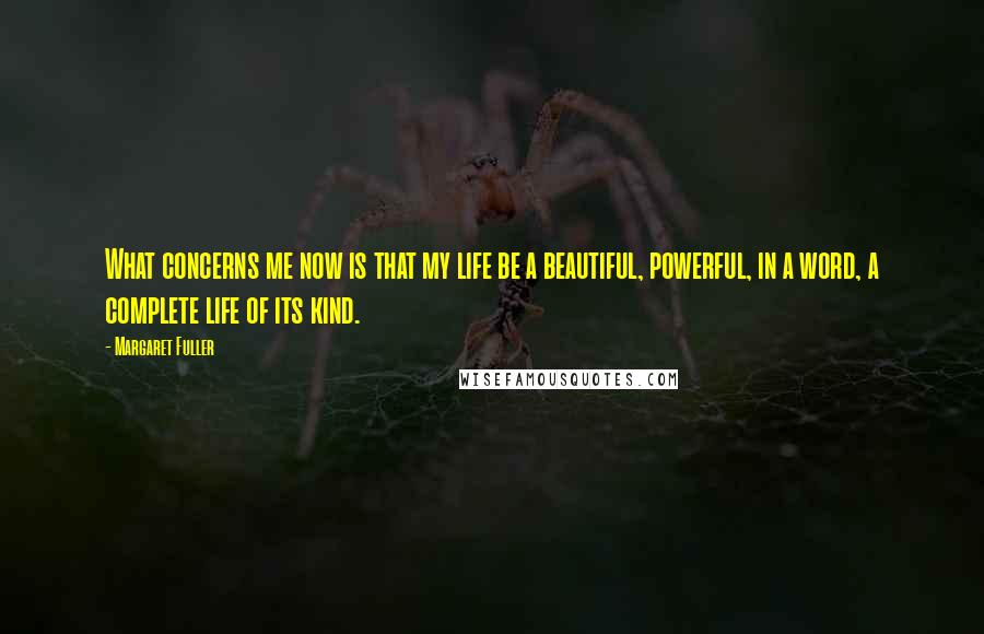 Margaret Fuller Quotes: What concerns me now is that my life be a beautiful, powerful, in a word, a complete life of its kind.