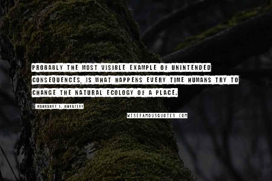 Margaret J. Wheatley Quotes: Probably the most visible example of unintended consequences, is what happens every time humans try to change the natural ecology of a place.