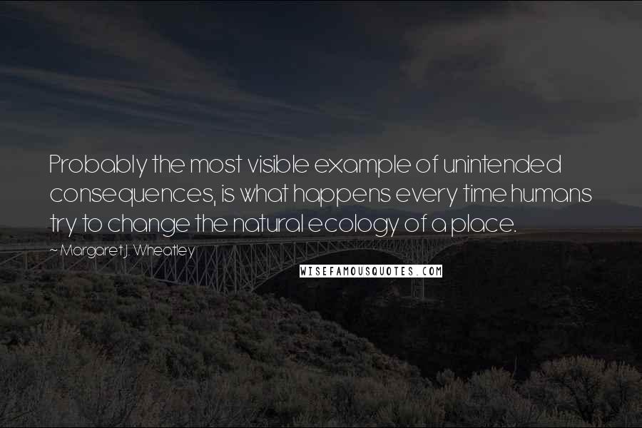 Margaret J. Wheatley Quotes: Probably the most visible example of unintended consequences, is what happens every time humans try to change the natural ecology of a place.