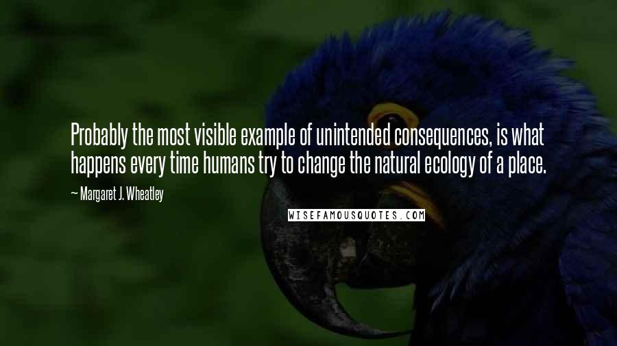 Margaret J. Wheatley Quotes: Probably the most visible example of unintended consequences, is what happens every time humans try to change the natural ecology of a place.