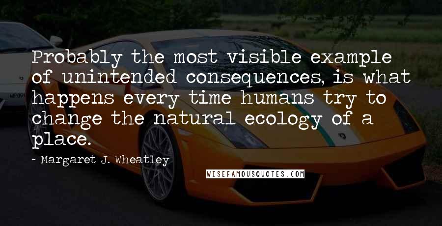 Margaret J. Wheatley Quotes: Probably the most visible example of unintended consequences, is what happens every time humans try to change the natural ecology of a place.