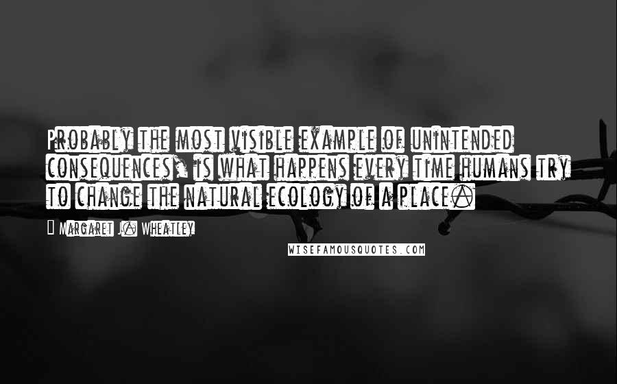 Margaret J. Wheatley Quotes: Probably the most visible example of unintended consequences, is what happens every time humans try to change the natural ecology of a place.