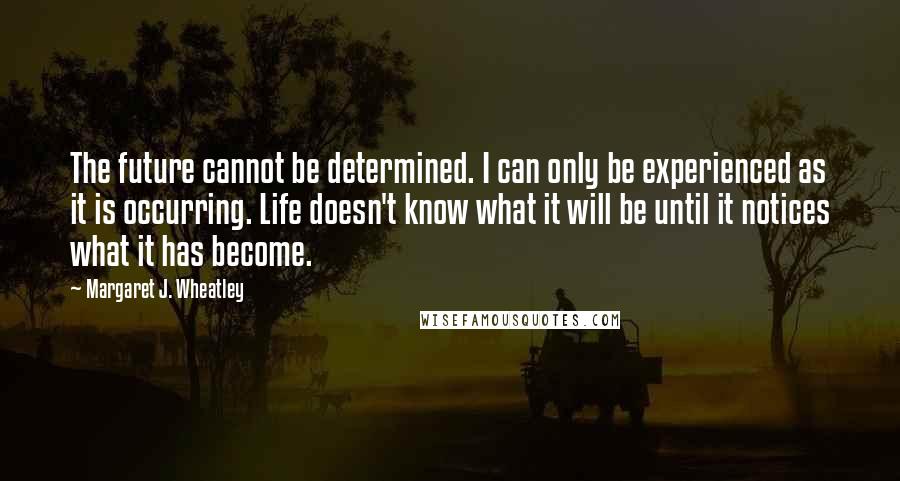 Margaret J. Wheatley Quotes: The future cannot be determined. I can only be experienced as it is occurring. Life doesn't know what it will be until it notices what it has become.