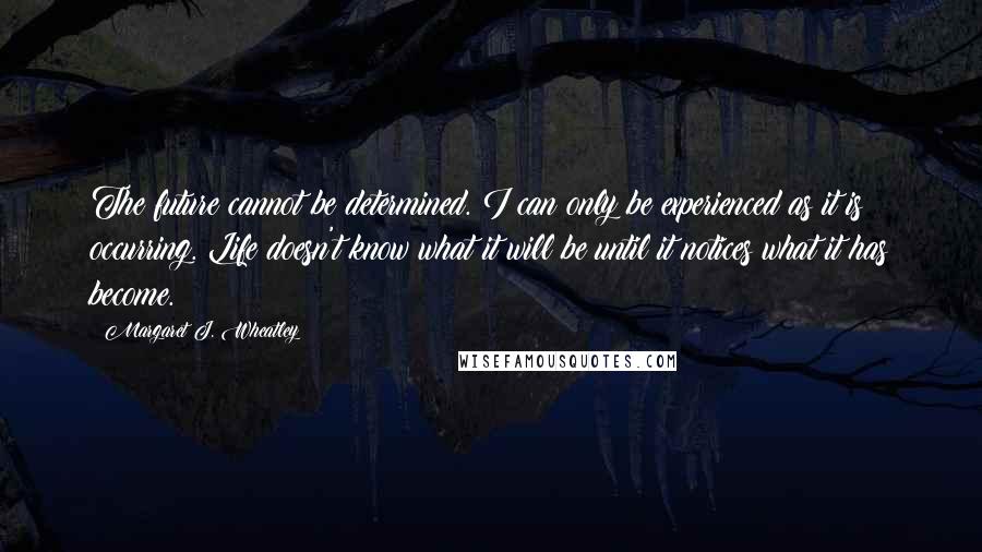 Margaret J. Wheatley Quotes: The future cannot be determined. I can only be experienced as it is occurring. Life doesn't know what it will be until it notices what it has become.