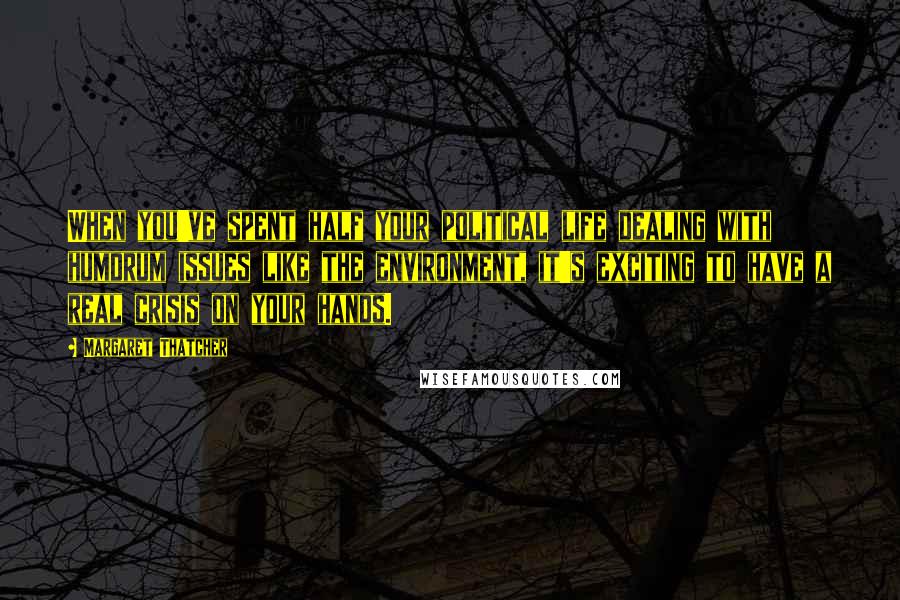 Margaret Thatcher Quotes: When you've spent half your political life dealing with humdrum issues like the environment, it's exciting to have a real crisis on your hands.