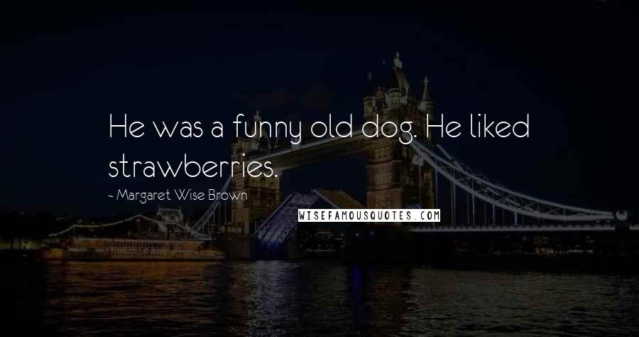 Margaret Wise Brown Quotes: He was a funny old dog. He liked strawberries.