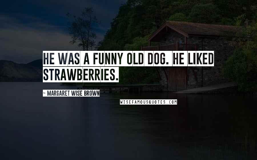 Margaret Wise Brown Quotes: He was a funny old dog. He liked strawberries.