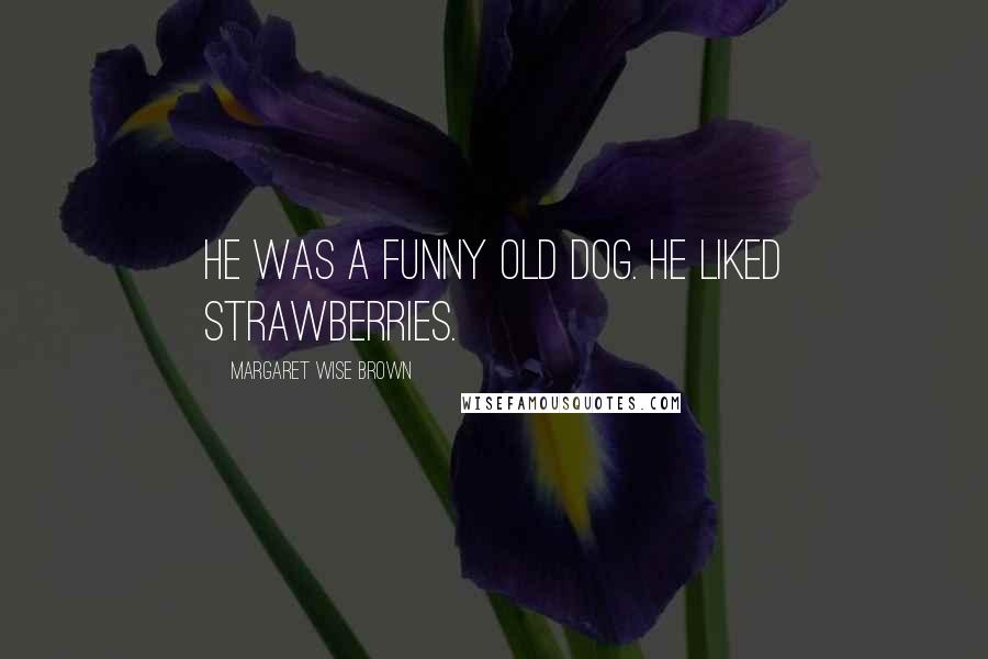 Margaret Wise Brown Quotes: He was a funny old dog. He liked strawberries.