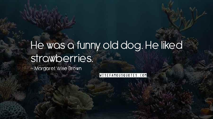 Margaret Wise Brown Quotes: He was a funny old dog. He liked strawberries.